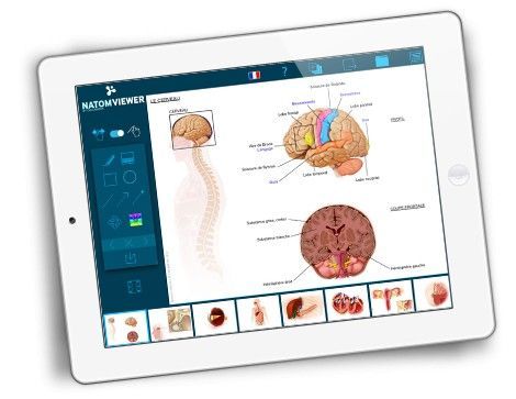 NatomViewer, l'application santé pour une meilleure relation médecin-patient